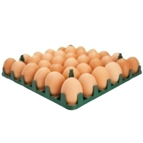 /media/products/EGG-JUMBO-CRATE.jpg