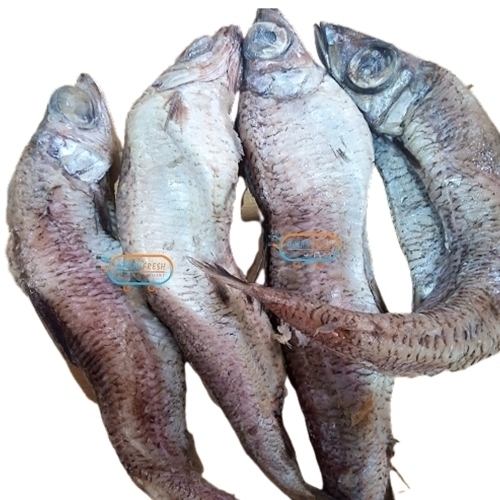 /media/products/FISH-ARGENTINE-FRZ-KG.jpg