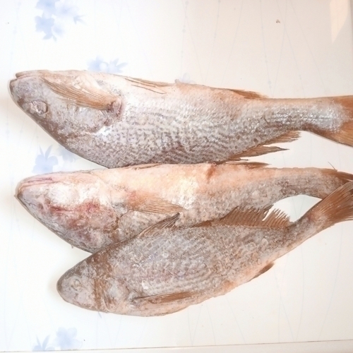 /media/products/FISH-CROAKER-FRZ-KG.jpg